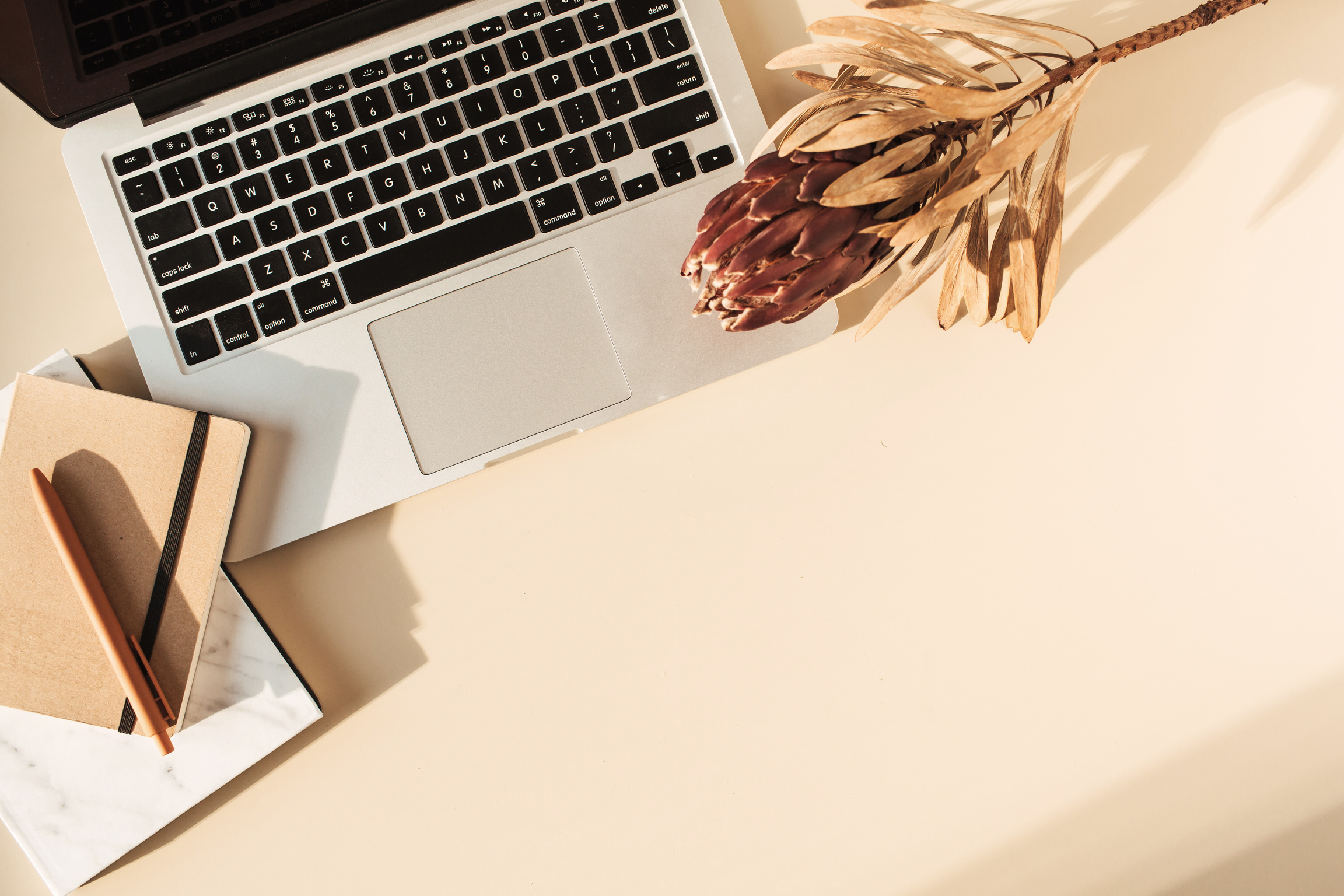 Laptop, Notebooks and Dried Plant on Beige Background